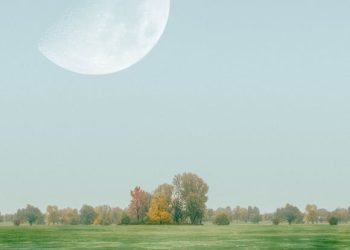 Tress Trends: Unlocking the Latest in Hair Care & Styling