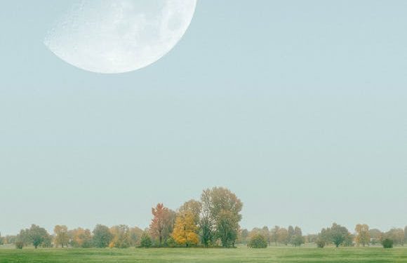 Tress Trends: Unlocking the Latest in Hair Care & Styling